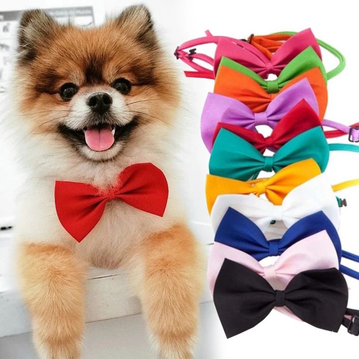 %E3%80%90HOT%E3%80%91%20Dog%20Bow%20Tie%20Adjustable%20Dog%20Cat%20Necklace%20Neck%20Tie%20Cute%20Convenient%20Pet%20Accessories%20Bow%20Tie%20Formal%20Puppy%20Bowtie%20Collar%20Pet%20Supplies%20-%20Image%203