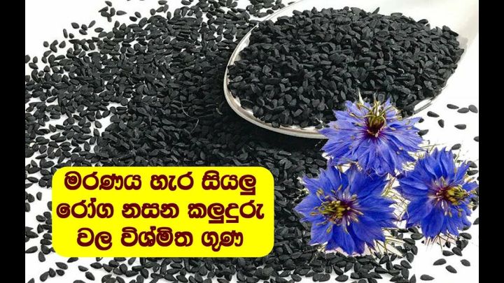 Black%20Seeds%20100g%20Pack%20100%25%20Natural%20Pure%20Organic%20with%20Many%20Medical%20Values%20-%20Image%204