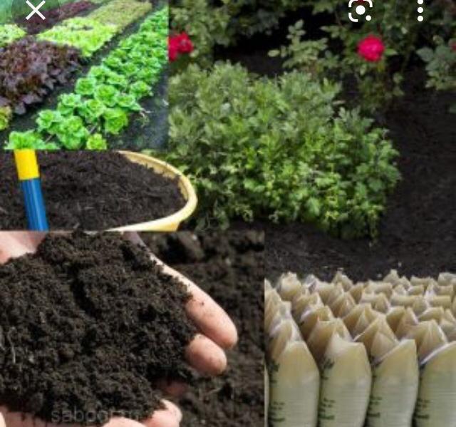 Cow%20dung%201%20kg%20for%20your%20home%20garden.%20%E0%B6%9C%E0%B7%9C%E0%B6%B8%20%E0%B6%B4%E0%B7%9C%E0%B7%84%E0%B7%9C%E0%B6%BB%20(%20%E0%B6%B4%E0%B7%83%E0%B7%8A%20%E0%B6%9A%E0%B7%80%E0%B6%BD%E0%B6%B8%E0%B7%8A%20%E0%B6%9A%E0%B6%BB%20%E0%B6%B1%E0%B7%9C%E0%B6%B8%E0%B7%90%E0%B6%AD)%20-%20Image%204