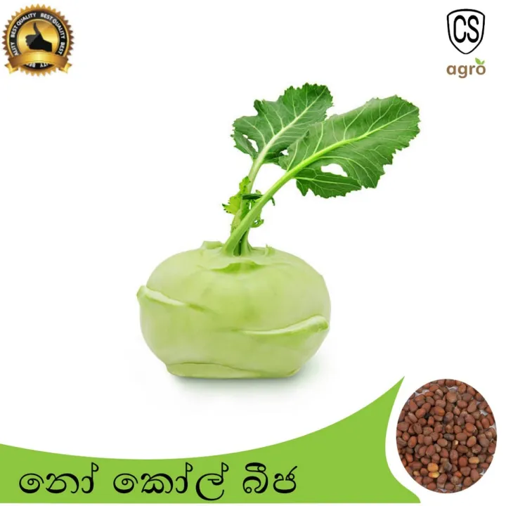 Knol%20Khol%20Local%20Seeds%200.2g%20Home%20Gardening%20Agriculture%20-%20Image%204