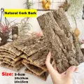 Natural Cork Bark for Tarantula Hideout Reptile Terrarium Climb Platform Tree Bark Background. 