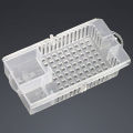 Beekeeping Transport Cages White Bees Queen Post Room Cage Plastic King Prisoner Queen Bee Cage Apiculture Tools. 