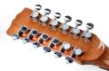 Deviser 12 String Semi Acoustic Guitars. 