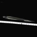 3 Pieces Clay Sculpting Tools Acrylic Lightweight Durable Clear Modeling Tools Carving Tools Ceramic for Pottery Sculpture Clay Figurines. 
