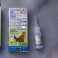 TIX FREE  CAT. 