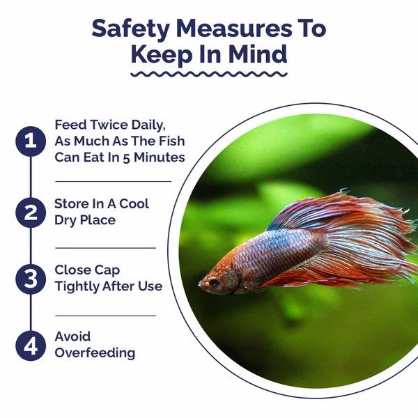 Intan%20Growel%20Betta%20Pellets%2027g%20(1mm%20Floating)%20Highly%20Nutritious%20Ornamental%20Fish%20Food%20For%20Betta%20Siamese%20Fighters,%20Crown%20Tail,%20Longfin,%20Big%20Eared%20&%20Koi%20Fighter%20-%20All%20Life%20Stages%20Fish%20Feed%20-%20Image%206
