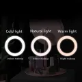 Desk Makeup Mirror with LED Light Lamp and Storage Tray, Dressing Table Rotatable Cosmetic Standing Mirror Light, Adjustable Touch Screen Direct USB Plug in Vanity Mirror. 