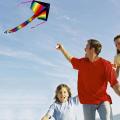 Outdoor Sky Dancer Toy Kite Polyester Fiberglass Triangle Flying Kite with Long Tail - Ramdom Color. 