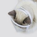 Transparent Chewing Safety Anti Bite Cat Muzzle Bathing Grooming Tools Mouth Guard Kitten Muzzles Mask. 