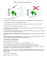 4G router Antenna. 