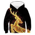Hoodies 3D Print Streetwear Boys Girls Casual Sweatshirts Oversized Hoodie Kids Tracksuits  Outdoor Clothing Spring Fall Winter. 