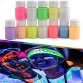 【BestGO】Luminous Pigment Fluorescent Powder Glow In The Dark  Painting Dust Bag. 