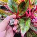 BOOM silver / rose gold color cute, beautiful adjustable ring with fixed white stone for women and girl. 