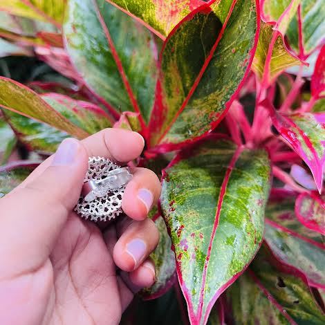 BOOM%20silver%20/%20rose%20gold%20color%20cute,%20beautiful%20adjustable%20ring%20with%20fixed%20white%20stone%20for%20women%20and%20girl%20-%20Image%207