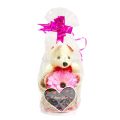 Cute Little Teddy Bear With Vase Lovers Gift Girlfriend Boyfriend Wedding Anniversary Birthday Christmas Valentine Romantic Gift. 