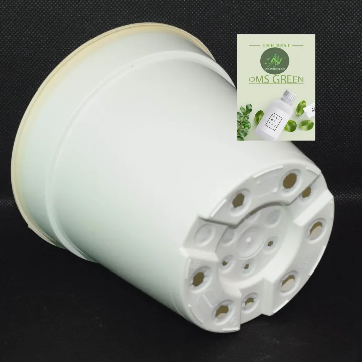 Pots%20Flower%20Pots%203%20white%20color%20Pots%20-%20Image%207