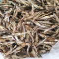 Dried Sprats Halmasso Karawala (හාල්මැස්සෝ) 250g. 