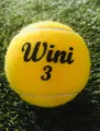 Wini 3 Cricket Ball (1 Tin 3 Balls). 