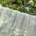 【ZOSR】60 Mesh Plant Vegetables Insect Protection Net Garden Fruit Care Cover Flowers Protective Net Greenhouse Pest Control Anti-bird 5/10/15m. 