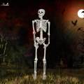 Skull Halloween Skeleton Full Body Realistic Decorations Faux Human Skeleton for Home. 