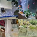 Aquarium Fish Tank Divider Plastic Egg Crate Aquarium Filter Bottom Tray Grid Isolation Board Partition Net Pane Separator. 
