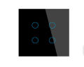 Tuya Smart Electric Switch Home Smart Wireless Remote Control Alexa Voice AC110V-240V IP66 Level Touch Panel Max 10A 250V. 
