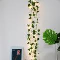 3M/ 30 LED VINES with FAIRY LIGHTS for room decoration DIY Kit Artificial Plants String Light Green Leaf Ivy Vine, rose leaf vine Fairy Light String Maple Leaves Lamp Garland DIY Hanging Lighting Rose vine. 