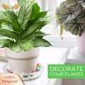 SuperRide Prevent Root Rot Plant Tray Clear Round Plant Saucers Set of 4 Reusable Tray for Indoor Outdoor Potted Plants Flower Pot Drainage Saucer for Odorless Plant Tray. 