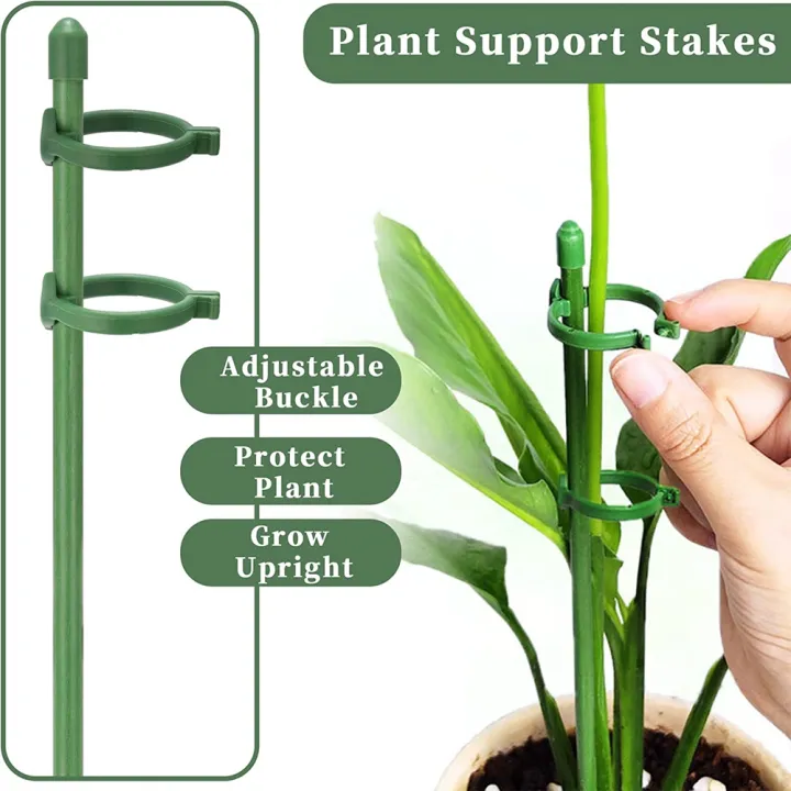 20%20Pack%20Plant%20Support%20Stakes%20Flower%20Support%20Stake%20Adjustable%20Garden%20Single%20Stem%20Floral%20-%20Image%203