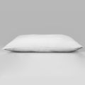 Celcius Classic Pillow 18"x 27"- 2 in 1 Pack - Limited Time Offer. 