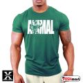 Men's GYM body-fit T-shirt. 