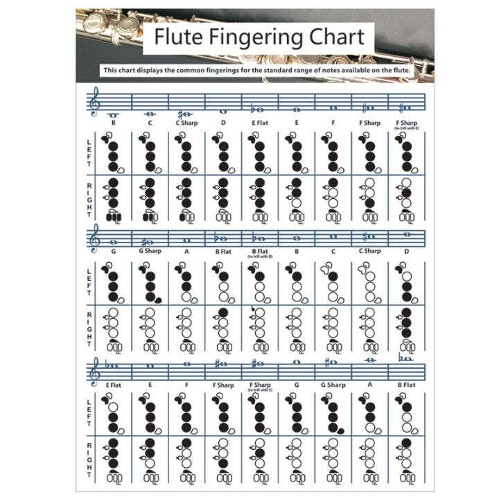 Flute%20Fingering%20Chart%20Flute%20Chord%20Chart%20Paper%20Flute%20Chords%20Poster%20(L)%20-%20Image%203