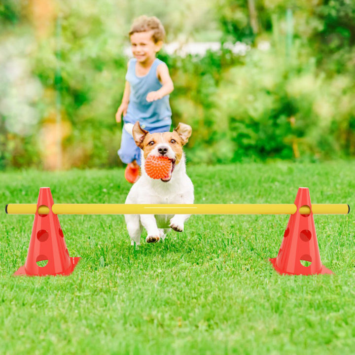 Mansa%20TUFF%20Fitness%20Pet%20Dog%20Kids%20Agility%20Training%20Hurdle%20with%20Cone%202%20Cones%20&%201.5%20meter%20Rods%20Hurdles%20Sets,%20Exercise%20Cones%20with%20Rods%20Adjustable%20Agility%20Obstacle%20Training%20Portable%20Agility%20Training%20Equipment%20-%20Image%202