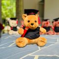 Graduation Teddy 26cm \ Graduation Gift \ University Convocation Gift \ Graduation Bear \ Diploma gift. 
