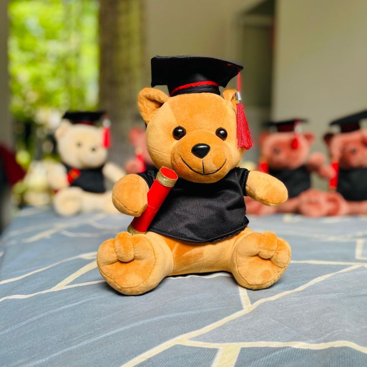 Graduation%20Teddy%2026cm%20%5C%20Graduation%20Gift%20%5C%20University%20Convocation%20Gift%20%5C%20Graduation%20Bear%20%5C%20Diploma%20gift%20-%20Image%204