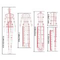 NAMUNY Fashion Illustration Rulers Sketching Templates Ruler Sewing Humanoid Patterns Design Clothing Measuring,Type B. 