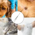 Manual Tweezers 2 In Tick Tweezers Stainless Steel Dog Louse Clip Durable Quick Tick Remover Tweezers Cat. 