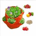 Garden Accessories Strawberry Planting Bag Thicken Breathable Plant Growing Bags for Balcony Garden. 