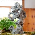 Fish Tank Tank Bonsai Fish Hiding Cave Office Tabletop Decorations Ornament A. 