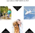 Large Pet IATA Approved Airline Travel Carrier Crate Pets Dog Cat Air Flight Box Checked Vet Visit Kennel Portable Foldable Breathable High Quality ABS PP Plastic Material Car Case Dogs Cats Medium Small Chrome Door Food Water Cup. 