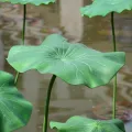 Home Ponds Decor Artistic Landscape Artificial Flower DIY Decoration Long Stem Decorative Fake Flower Green EVA Lotus Leaf Wedding Decoration. 