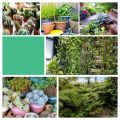 E27 300Leds Plant Grow Lamp Led Full Spectrum Growth Light Bulbs Seedling Flower Phyto Lamp for Indoor Hydroponic Plants. 