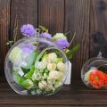 Flower Pot Transparent Hanging Glass Vases Ball Clear Succulents Ball Container 6/8/10/12/15cm Borosilicate Glass Glass Planter Garden. 