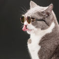 EzyMart - Round Cat Sunglasses Reflection Eye wear glasses For Small Dog Cat Pet Photos Props Accessories. 