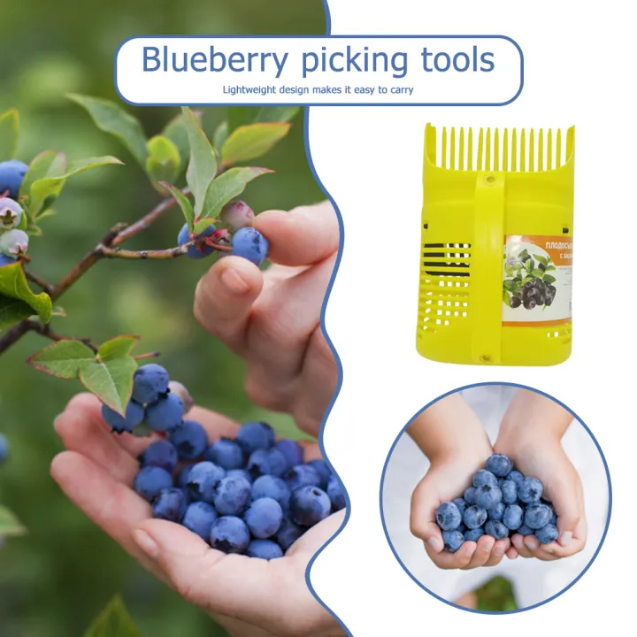 Portable Berry Pickers With Metal Comb Fruit Collecting Scoop Handle ...