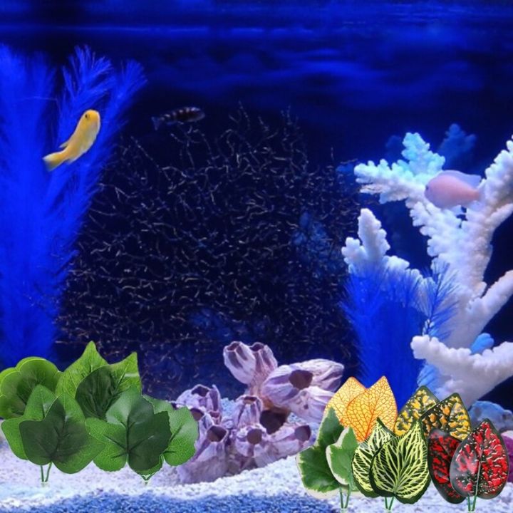 Curated visual reference: Aquarium Decorations To Mimic A Natural Environment Reference: Safe Leaf Bed Natural Environment Betta Fish Spawning Pad Aquariums