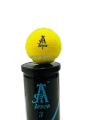 Arrow Cricket ball tin | Wini cricket ball tin | Wini products. 