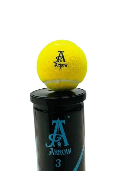 Arrow%20Cricket%20ball%20tin%20%7C%20Wini%20cricket%20ball%20tin%20%7C%20Wini%20products%20-%20Image%202