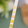 100PCS 10-Parameter Cat & Dog Urine Test Strips Cat & Dog UTI Test Kit, Urinalysis Reagent Strips: Glucose, Specific Gravity GENGLI. 