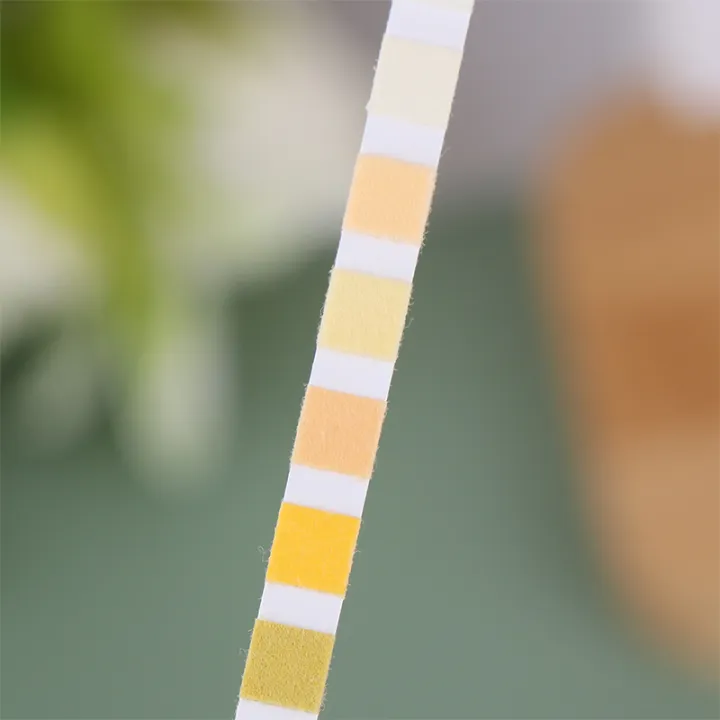 100PCS%2010-Parameter%20Cat%20&%20Dog%20Urine%20Test%20Strips%20Cat%20&%20Dog%20UTI%20Test%20Kit,%20Urinalysis%20Reagent%20Strips:%20Glucose,%20Specific%20Gravity%20GENGLI%20-%20Image%205